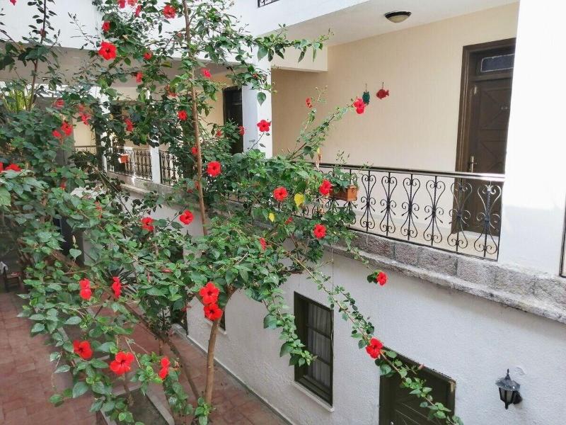 Assos Buyuk Yildizsaray Otel image