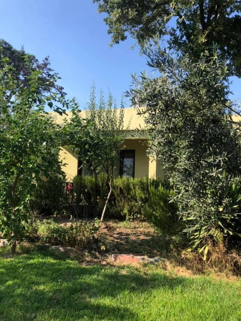Assos Buyuk Yildizsaray Otel image