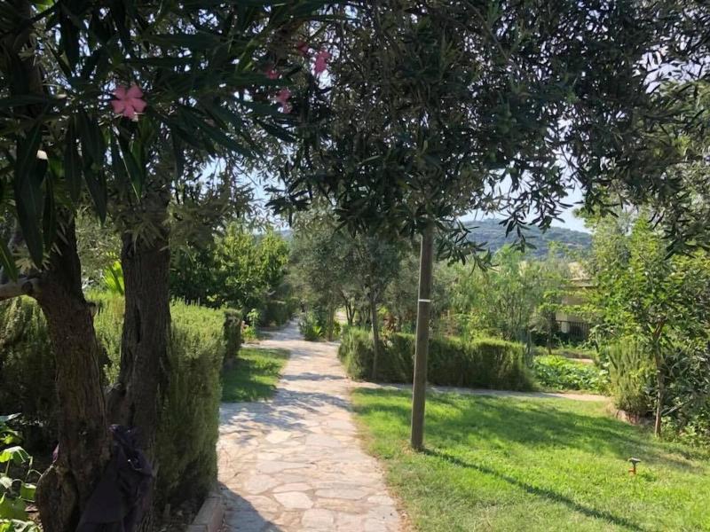 Assos Buyuk Yildizsaray Otel image