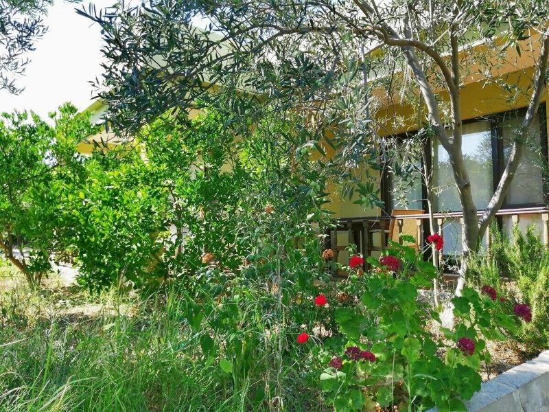 Assos Buyuk Yildizsaray Otel image