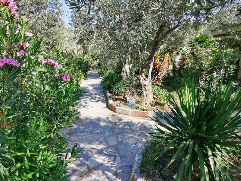 Assos Buyuk Yildizsaray Otel image