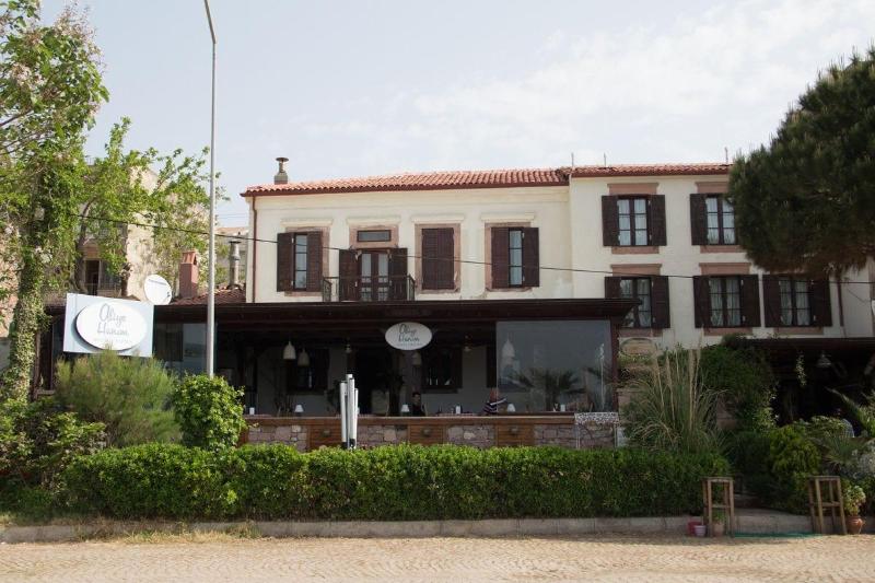 Aliye HanÄ±m image