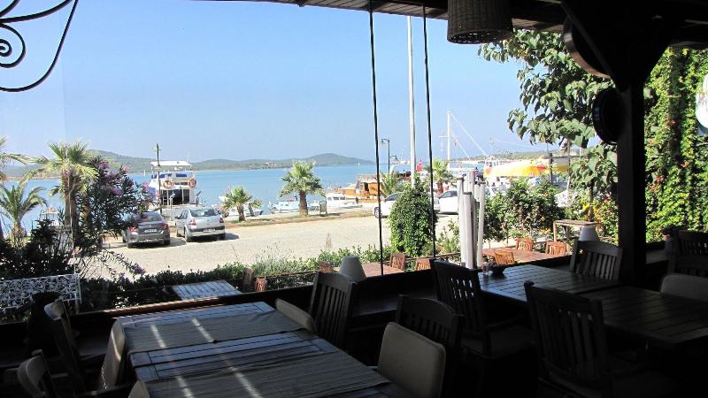 Aliye HanÄ±m image