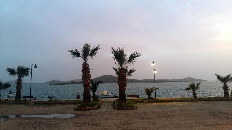 Aliye HanÄ±m image