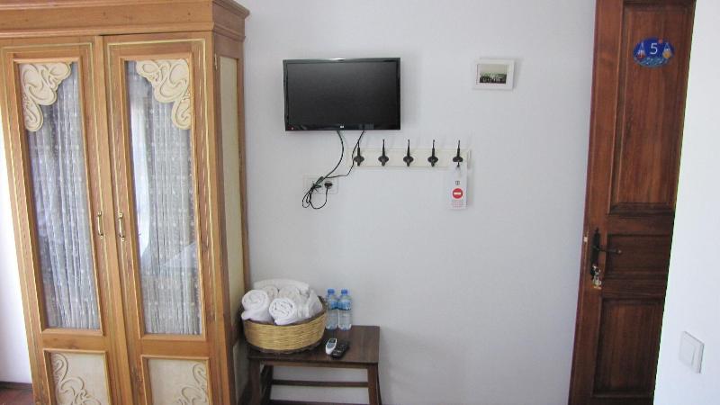 Aliye HanÄ±m image