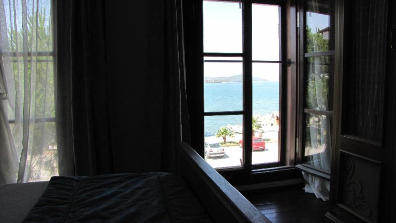 Aliye HanÄ±m image