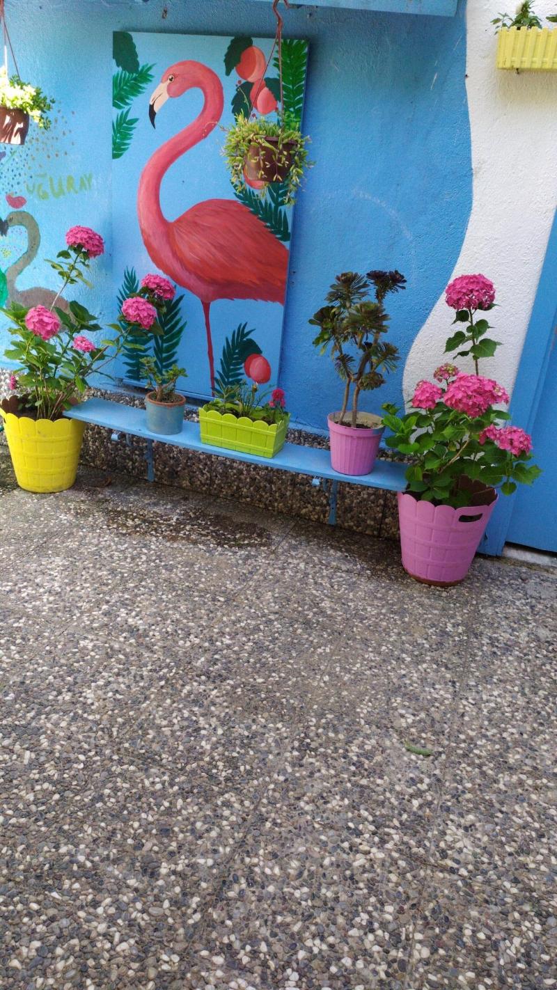 Nano Hotel image