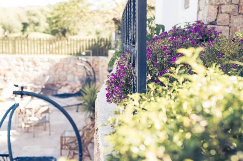 Kaya Guest House image