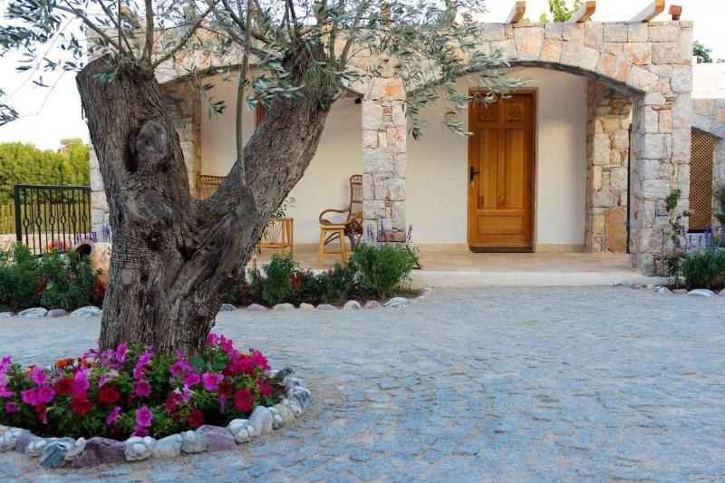 Kaya Guest House image