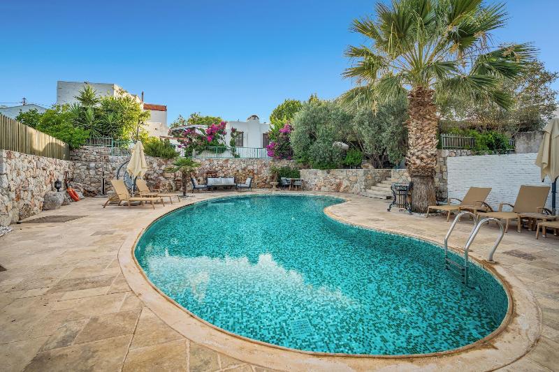 Kaya Guest House image