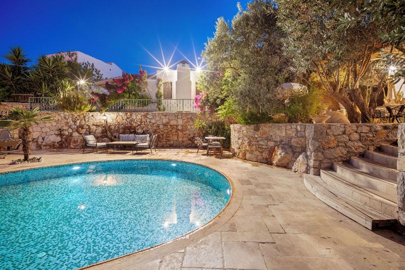 Kaya Guest House image