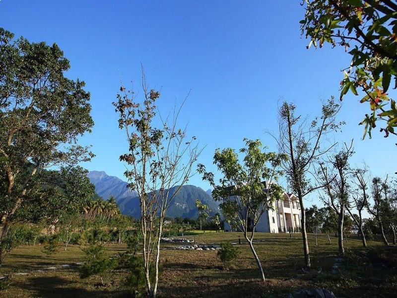 B&B Mountain View — photo 4