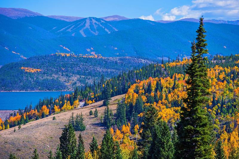 Indigo Silverthorne