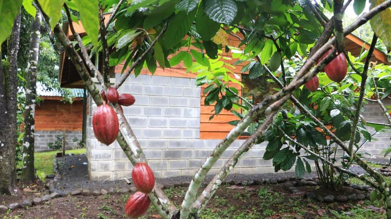 Arenal Cacao House image