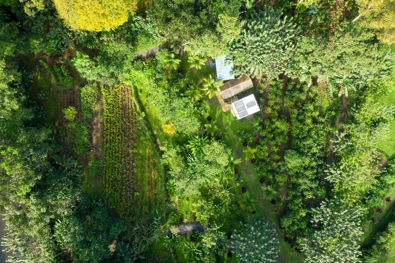 Arenal Cacao House image