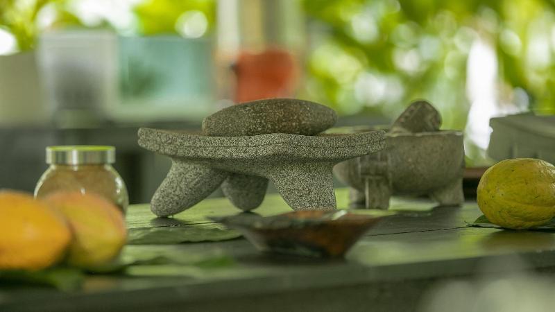 Arenal Cacao House image