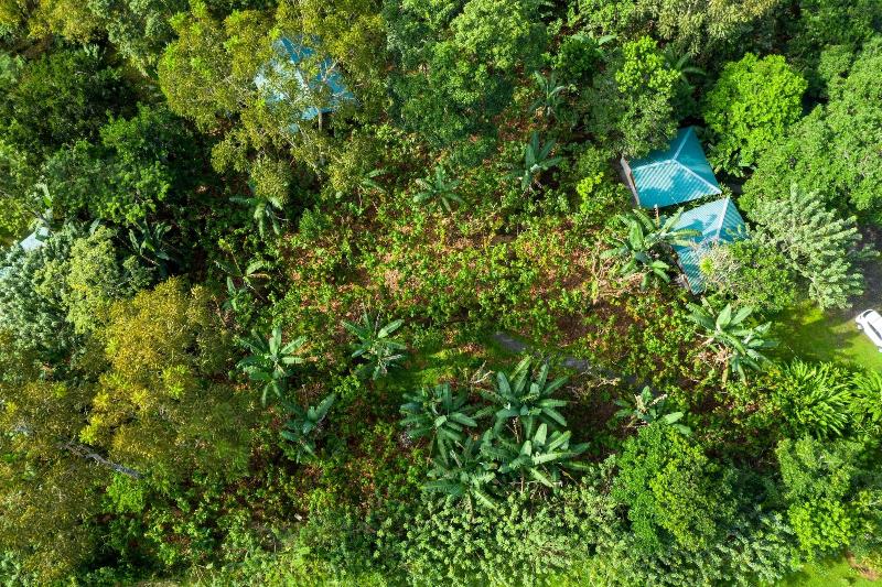 Arenal Cacao House image