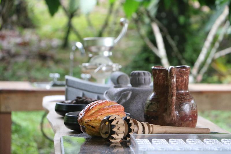 Arenal Cacao House image