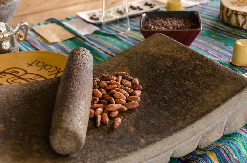 Arenal Cacao House image