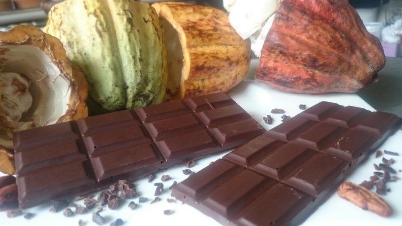 Arenal Cacao House image