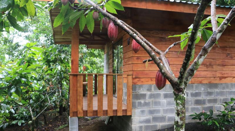 Arenal Cacao House image