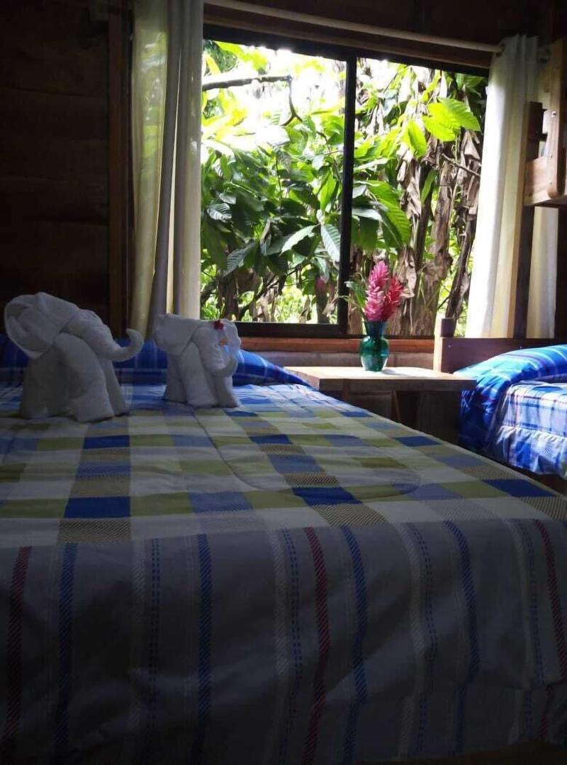 Arenal Cacao House image