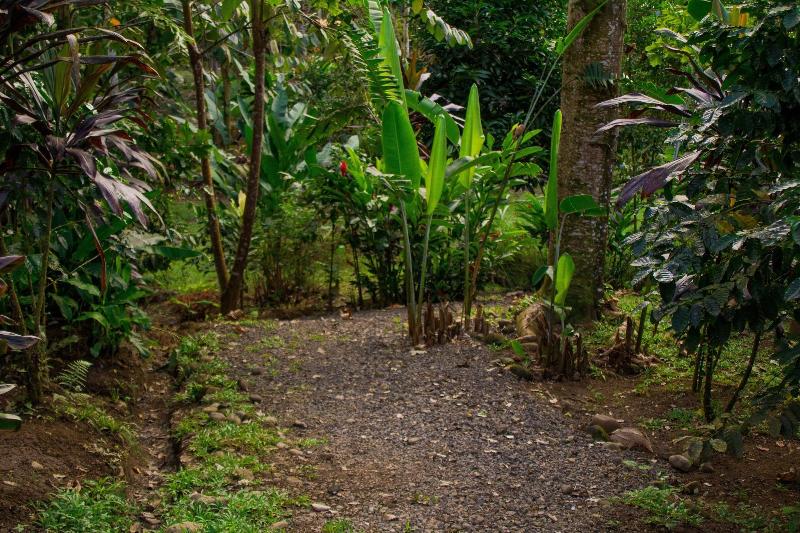 Arenal Cacao House image