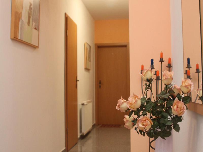 Pension Motel Anna image