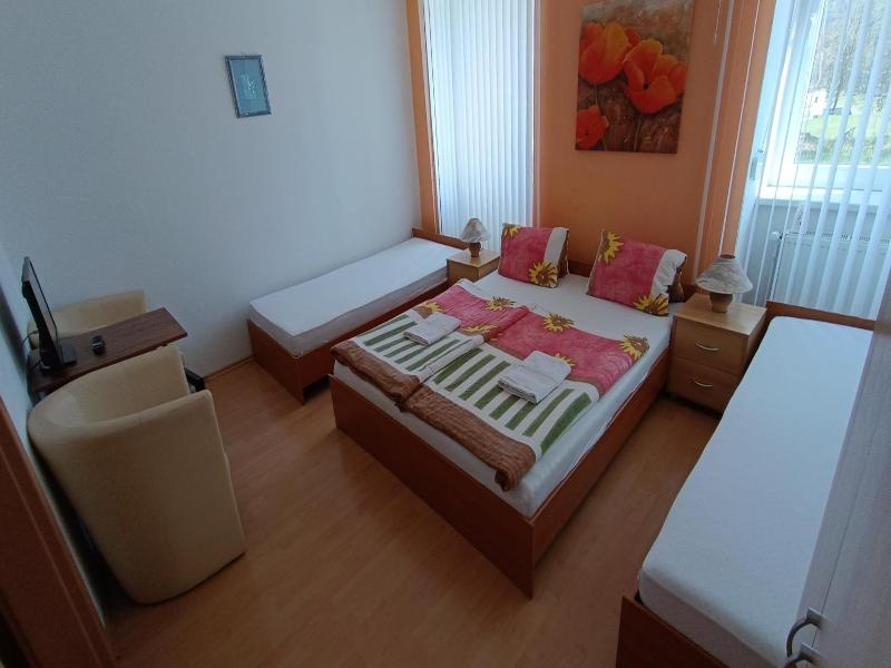 Pension Motel Anna image