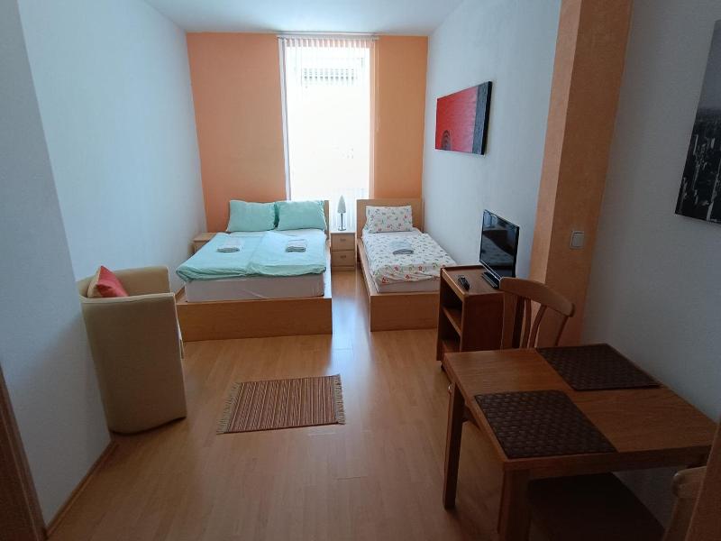 Pension Motel Anna image