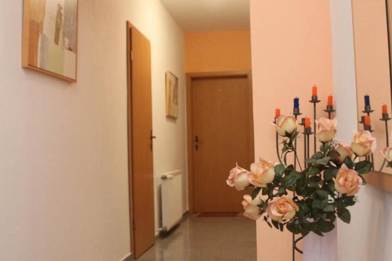 Pension Motel Anna image