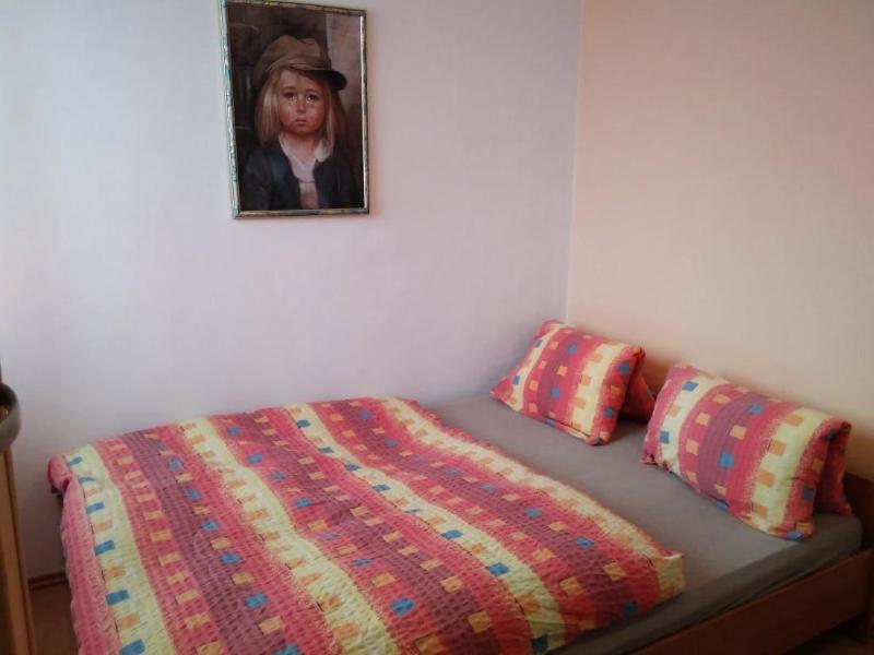 Pension Motel Anna image