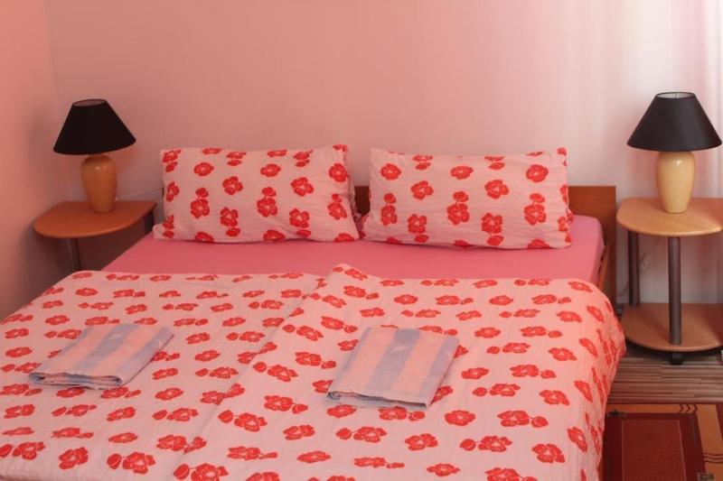 Pension Motel Anna image
