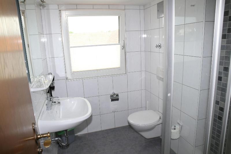 Landhotel Traube image