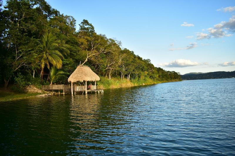 Hotel Gringo Perdido image