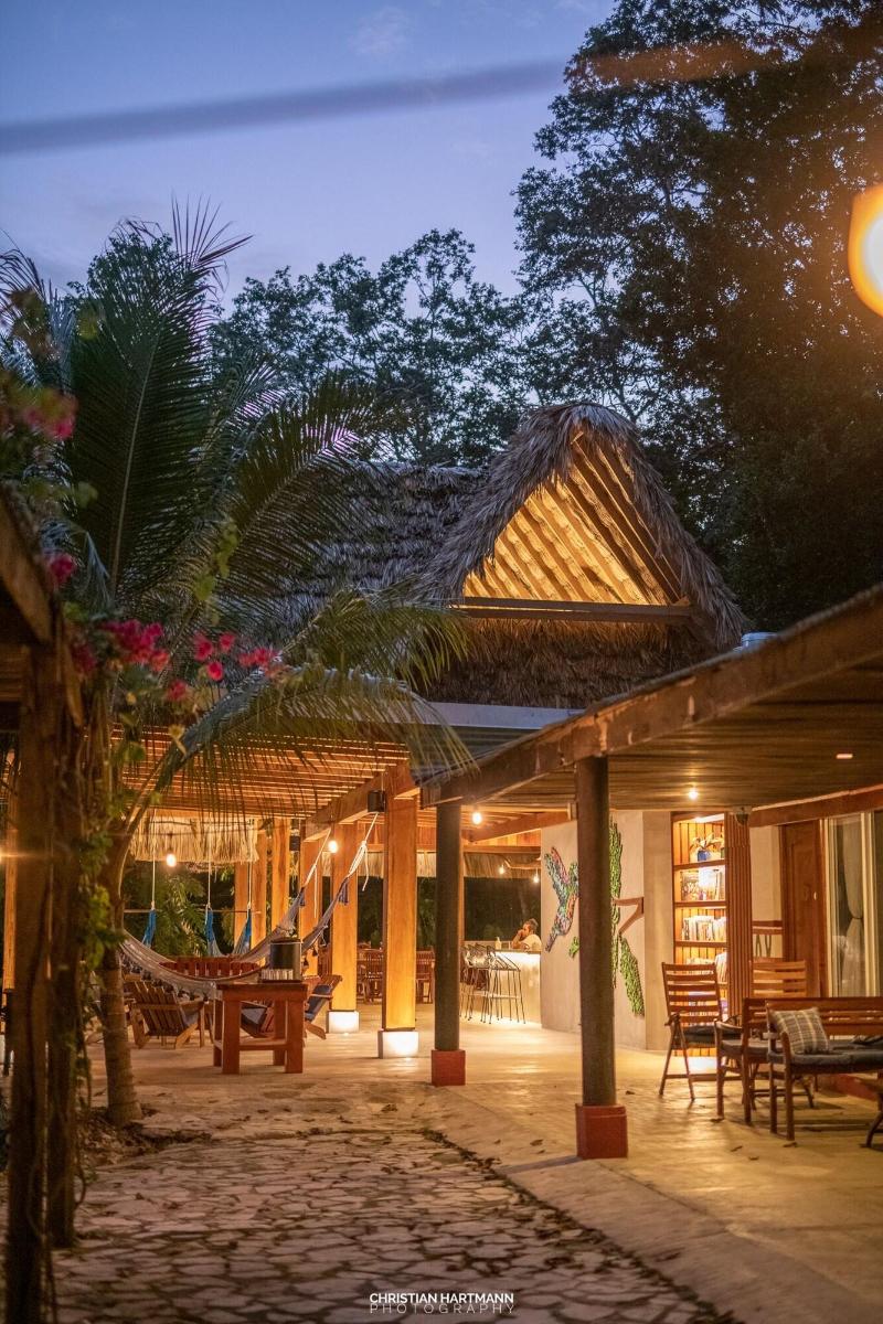 Hotel Gringo Perdido image