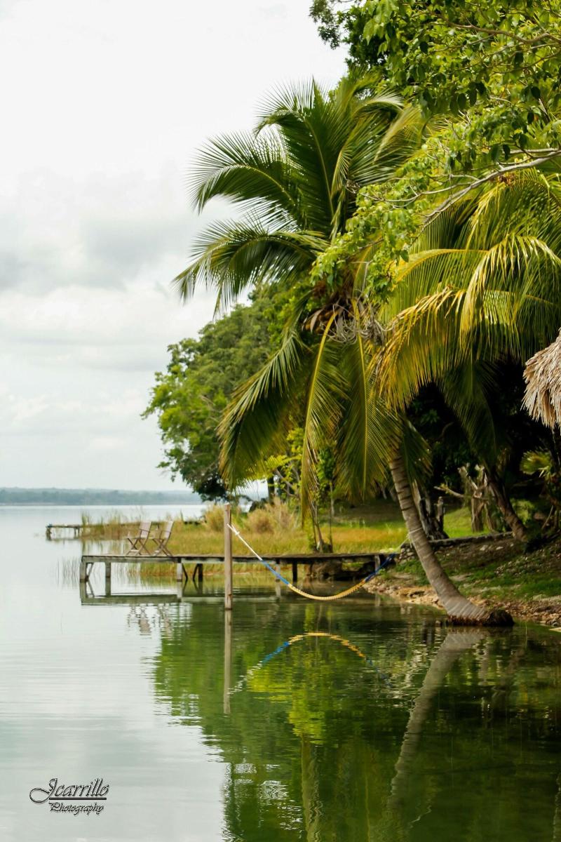 Hotel Gringo Perdido image