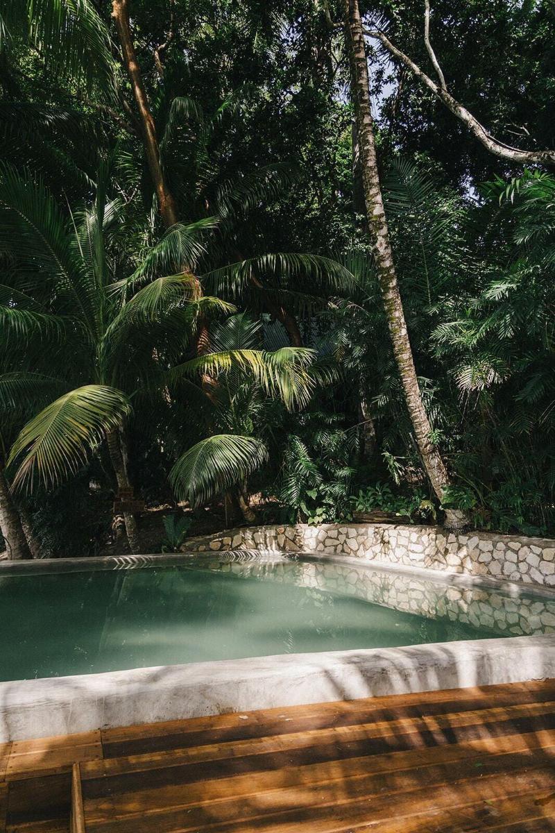 Hotel Gringo Perdido image