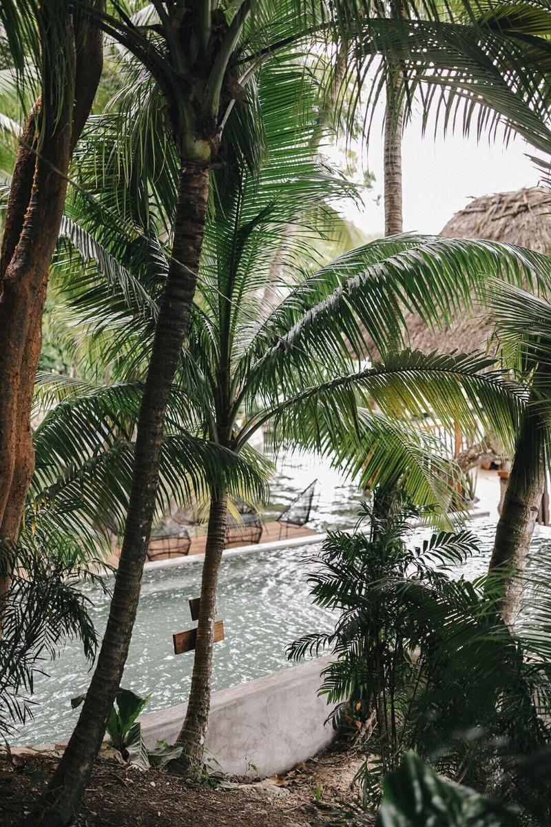 Hotel Gringo Perdido image