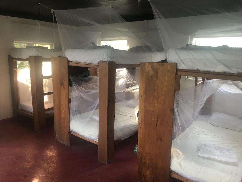 Hotel Gringo Perdido image