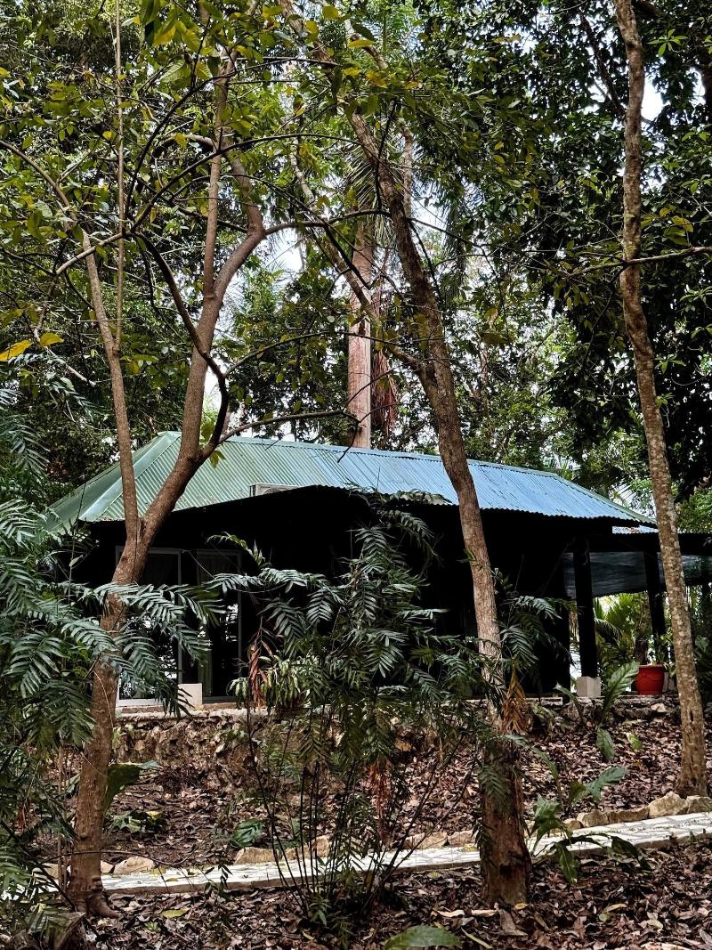 Hotel Gringo Perdido image