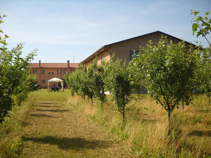Agriturismo Campi di Grano image