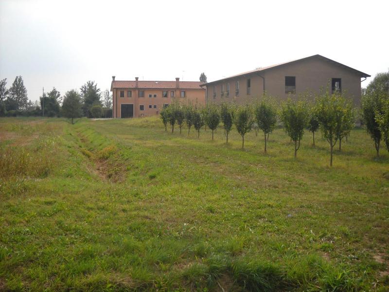 Agriturismo Campi di Grano image