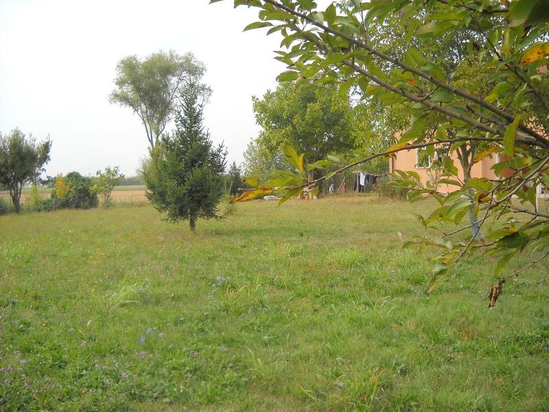 Agriturismo Campi di Grano image