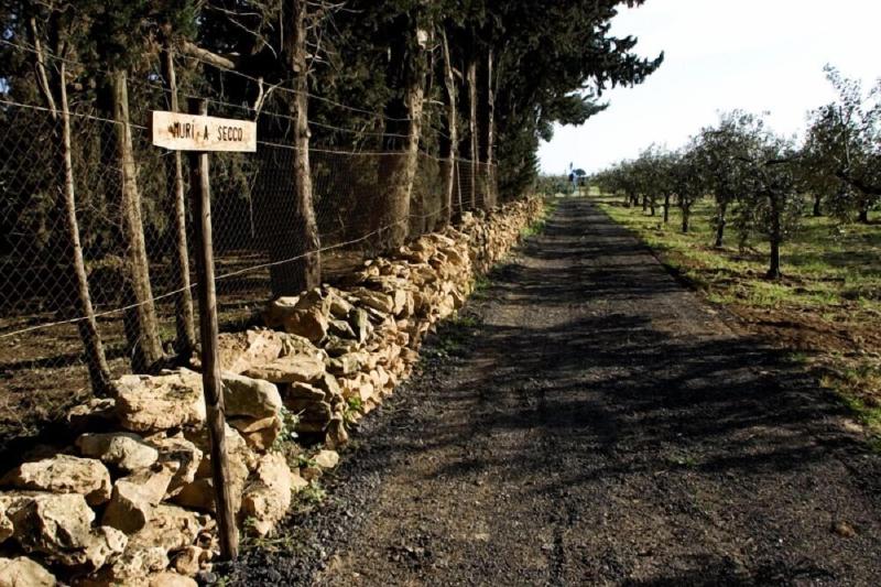 Agriturismo Carbona image