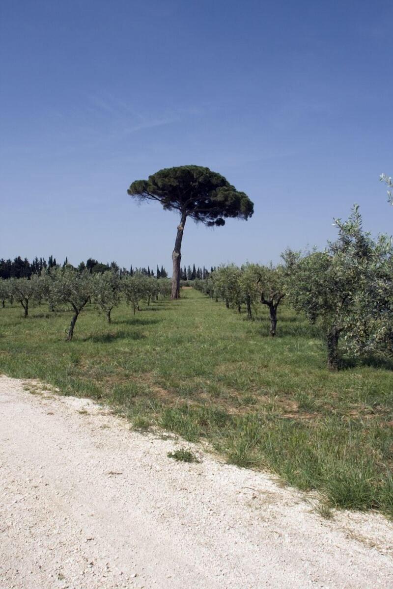 Agriturismo Carbona image