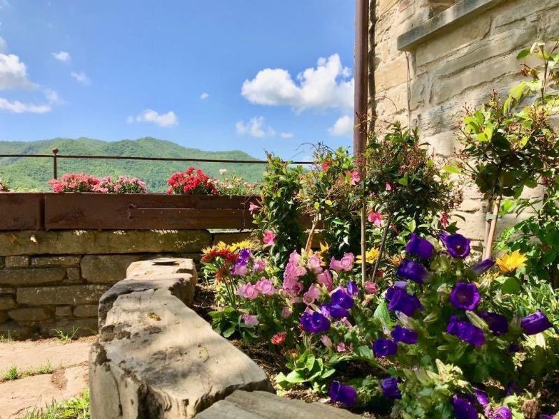 Agriturismo Castello della Pieve image