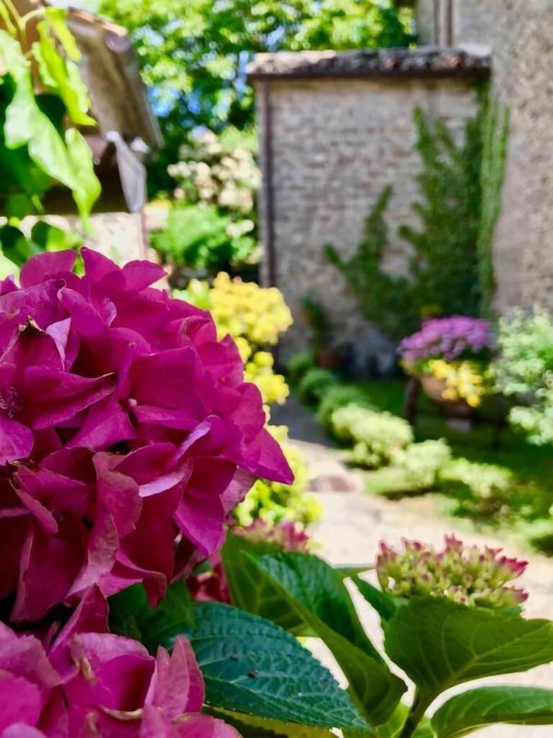 Agriturismo Castello della Pieve image
