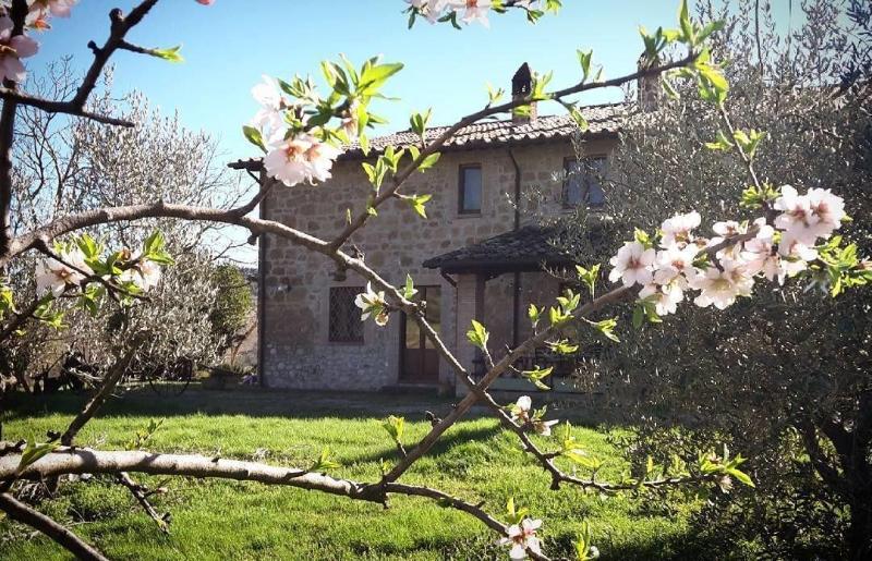Agriturismo Cioccoleta image