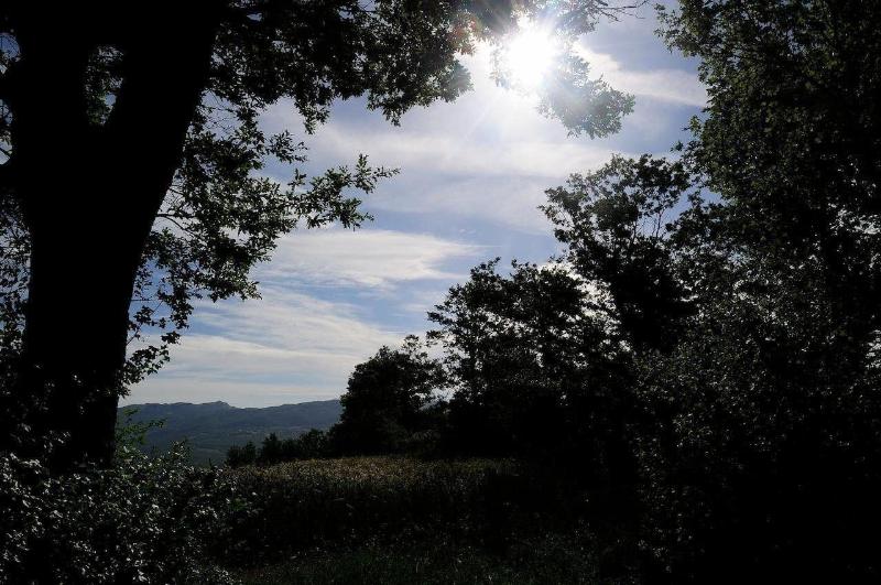 Agriturismo i Monti image